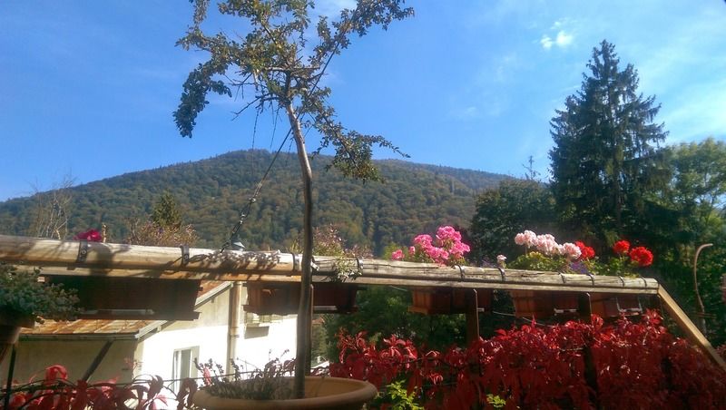 Bistro-Pension La Teleferic Σινάια Εξωτερικό φωτογραφία