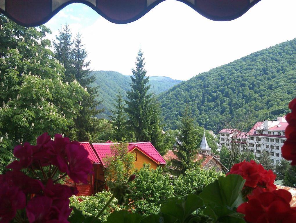 Bistro-Pension La Teleferic Σινάια Εξωτερικό φωτογραφία